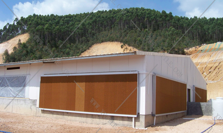 還在為廠房的墻體煩惱嗎？使用星發(fā)優(yōu)質(zhì)墻體廠房塑料瓦