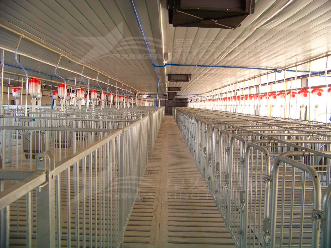 高溫來襲，養(yǎng)殖場安裝樹脂瓦，為小動物營造避暑勝地