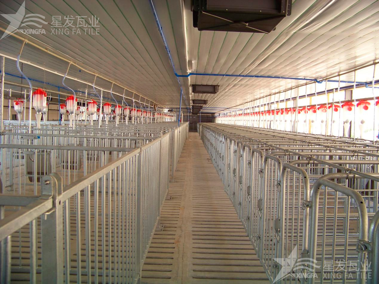 炎炎夏日即將來臨，為什么養(yǎng)殖場越來越多地選擇PVC瓦？