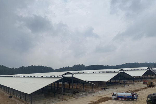 延長PVC瓦使用壽命的三大關(guān)鍵因素，千萬別忽視！