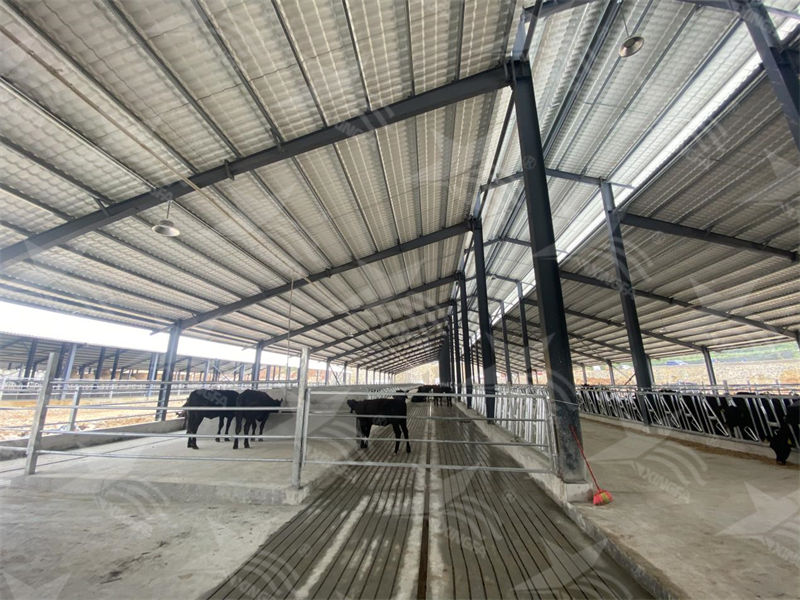 樹脂瓦：養(yǎng)殖場的夏日守護者，為小動物打造涼爽樂園